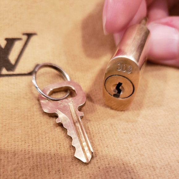 Louis Vuitton Alma PM - Picture 12 of 13